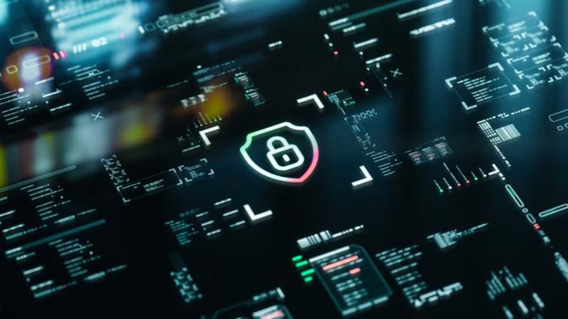福鼎市软件开发公司